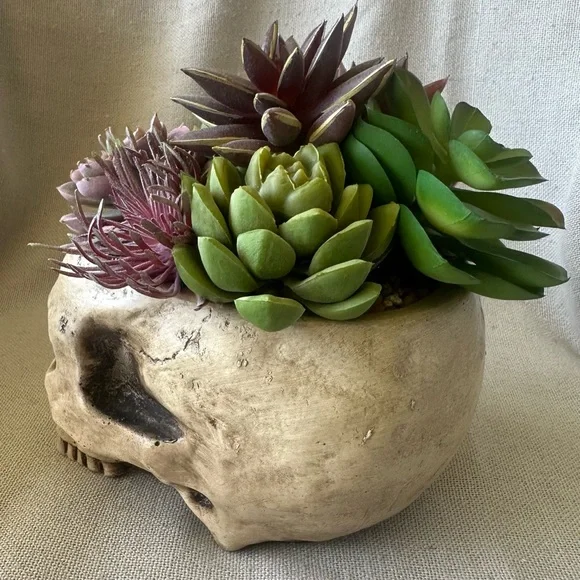 Halloween Succulent Skull Spooky Planter - Picture 4 of 8